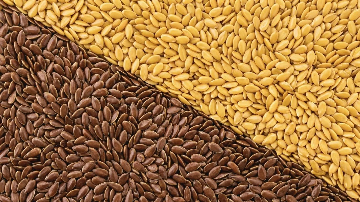 Yellow and brown flaxseed side by side