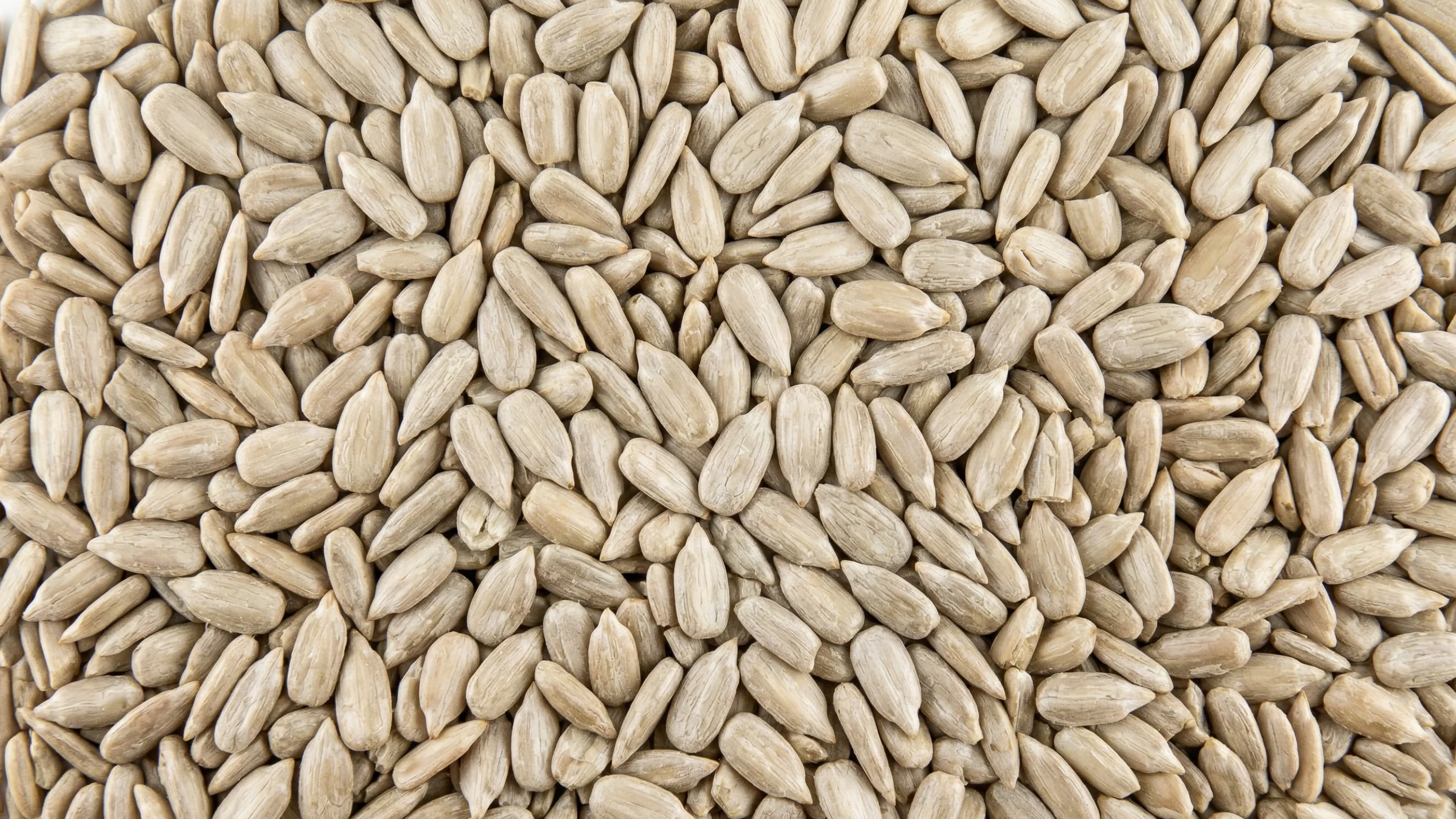 Hulled sunflower kernels in bulk