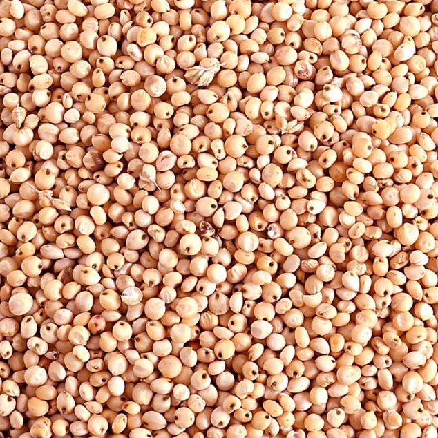 Продукти – AGROS Grain group